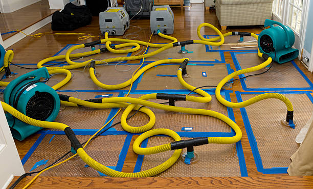 Professional Water Extraction technician working in Conklin, MI