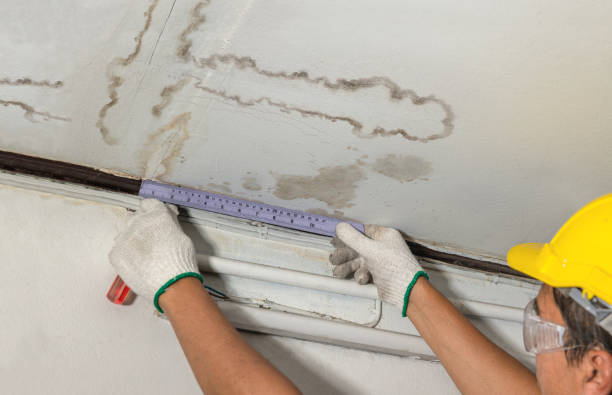 Affordable Water Damage Repair solutions in Conklin, MI